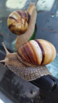 Прикрепленное изображение: IMG_20191005_173937.jpg